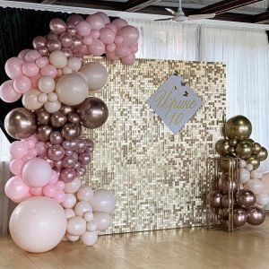 Gold Sequin Poser Backdrop